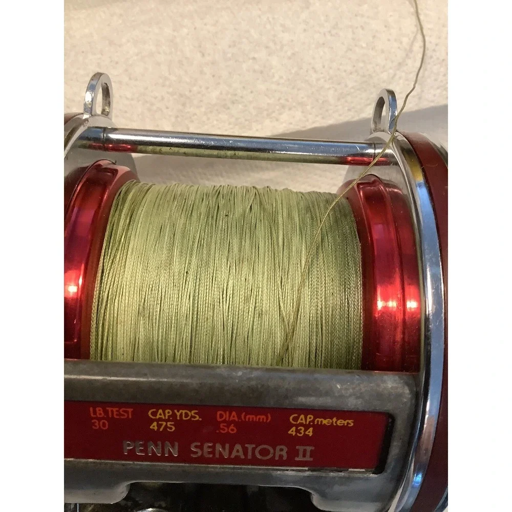 VINTAGE PENN SPECIAL SENATOR 113HL 4/0 50TH ANNIVERSARY FISHING REEL SWEEEEET